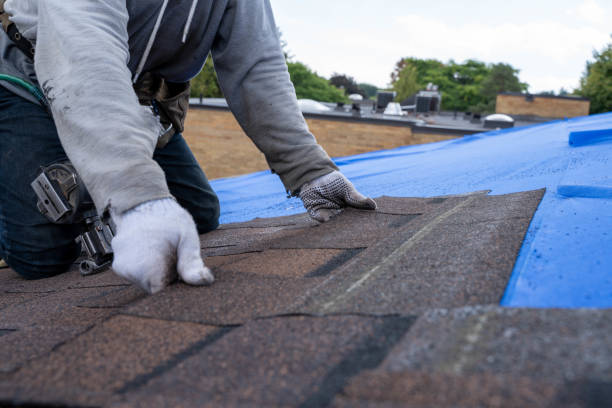 Best Storm Damage Roof Repair  in Lmerton, PA