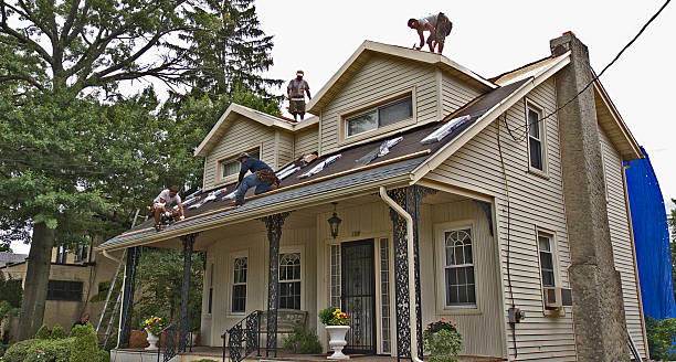Best Roof Maintenance Services  in Lmerton, PA